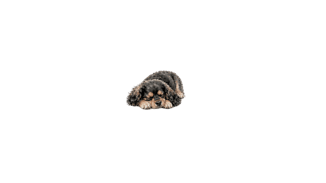 Rocky